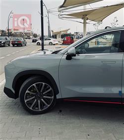 جيتور داشينج